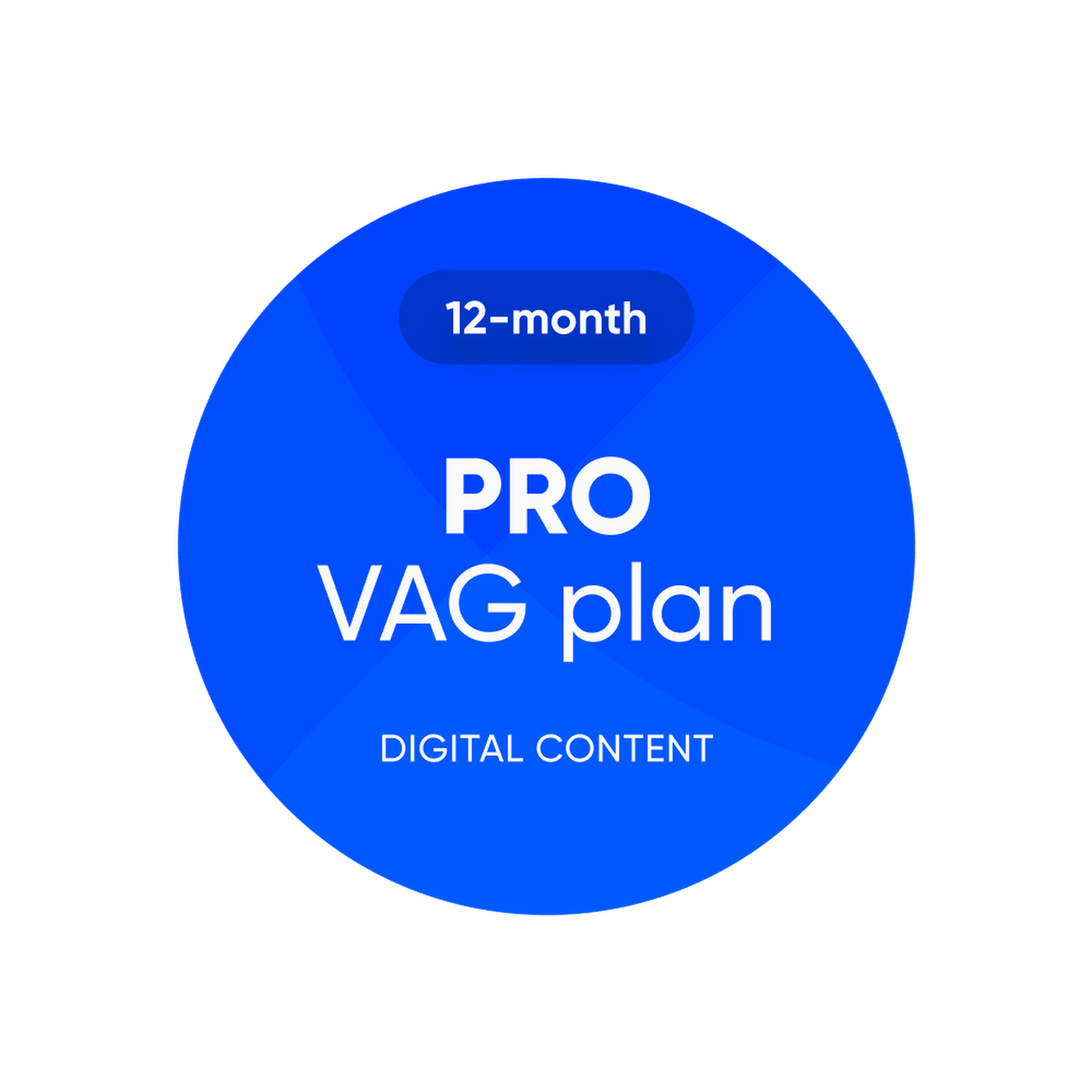 OBDeleven | Pro VAG Plan | Programvarulicens