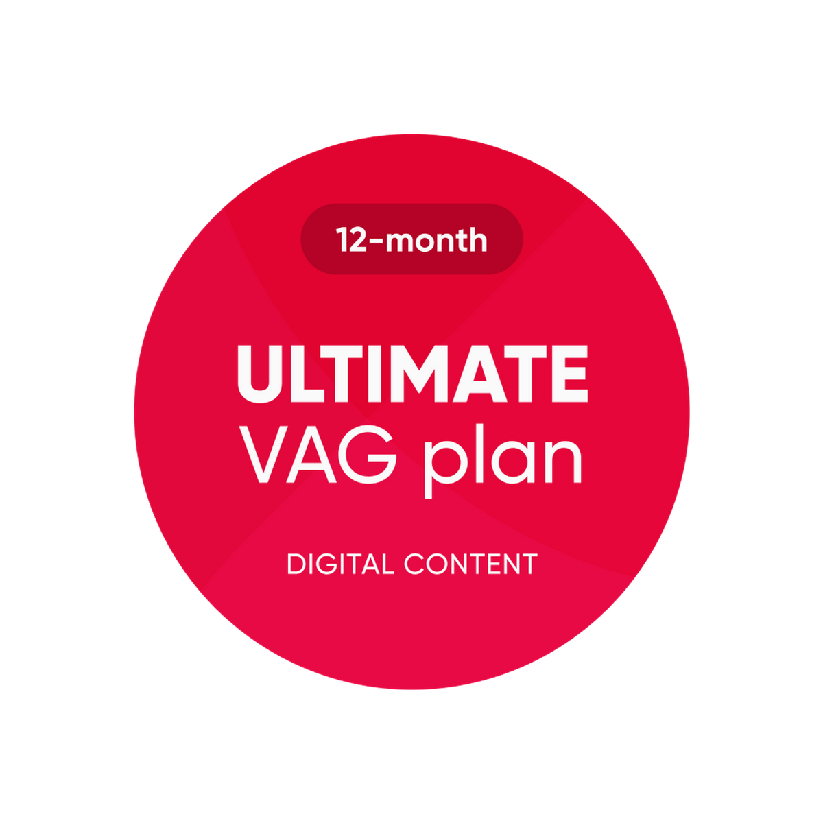 OBDeleven | Ultimate VAG Plan | Programvarulicens